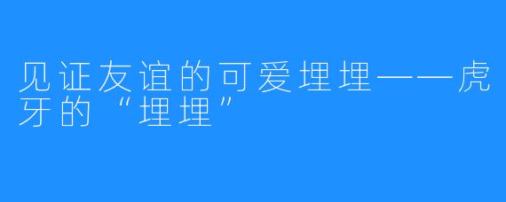 见证友谊的可爱埋埋——虎牙的“埋埋” 