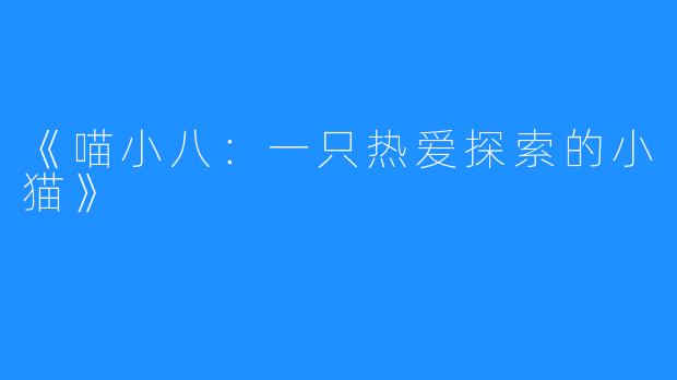《喵小八:一只热爱探索的小猫》