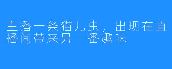 主播一条猫儿虫，出现在直播间带来另一番趣味