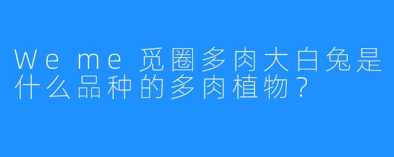 Weme觅圈多肉大白兔是什么品种的多肉植物？