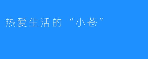 热爱生活的“小苍”