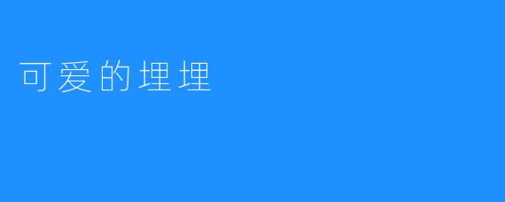 可爱的埋埋——小小梦想家的奇妙旅程