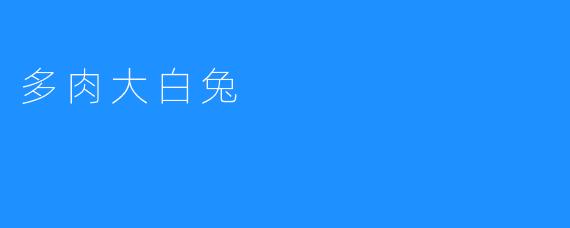 ### 多肉大白兔：可爱与生命力的完美结合