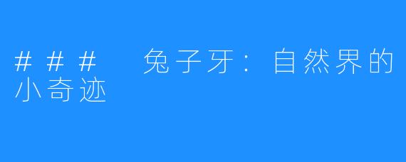 ### 兔子牙：自然界的小奇迹