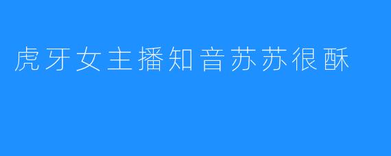 虎牙女主播知音苏苏的魅力与坚持