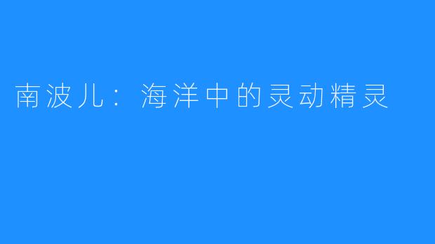 南波儿:海洋中的灵动精灵
