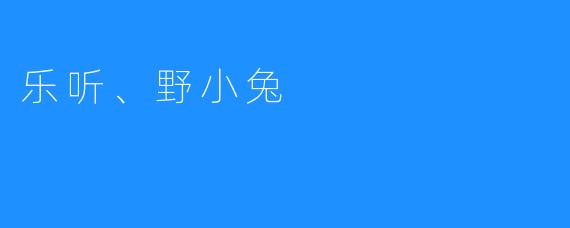 乐听和野小兔的奇妙冒险