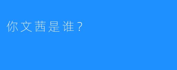 你文茜是谁？