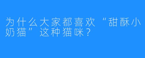 为什么大家都喜欢“甜酥小奶猫”这种猫咪？