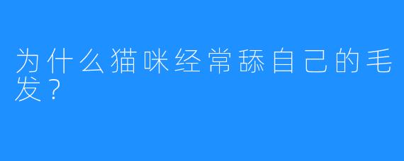 为什么猫咪经常舔自己的毛发？