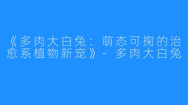 《多肉大白兔:萌态可掬的治愈系植物新宠》-多肉大白兔