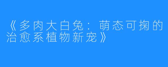 《多肉大白兔:萌态可掬的治愈系植物新宠》