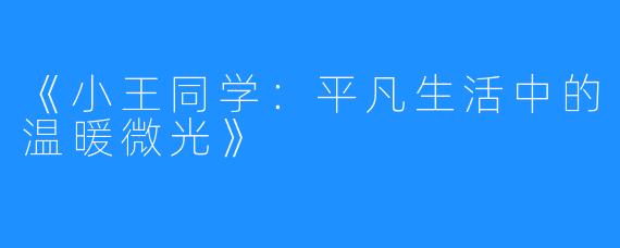 《小王同学:平凡生活中的温暖微光》