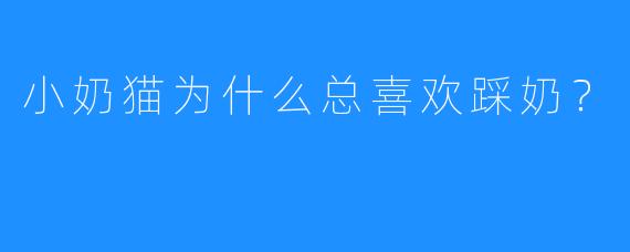 小奶猫为什么总喜欢踩奶？