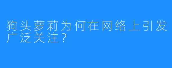 狗头萝莉为何在网络上引发广泛关注？