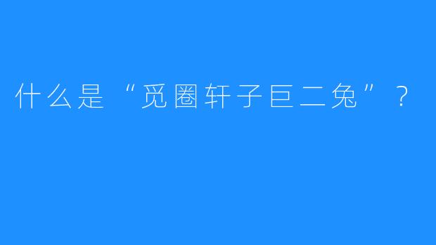 什么是“觅圈轩子巨二兔”？