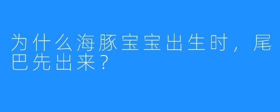 为什么海豚宝宝出生时，尾巴先出来？