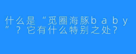 什么是“觅圈海豚baby”？它有什么特别之处？