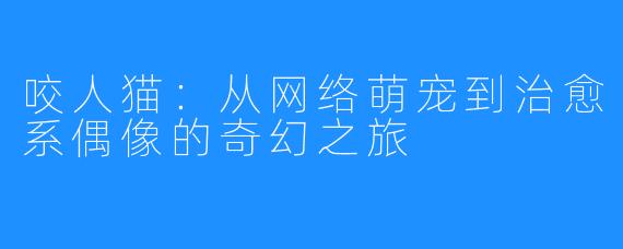 咬人猫：从网络萌宠到治愈系偶像的奇幻之旅