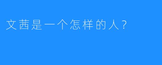 文茜是一个怎样的人？