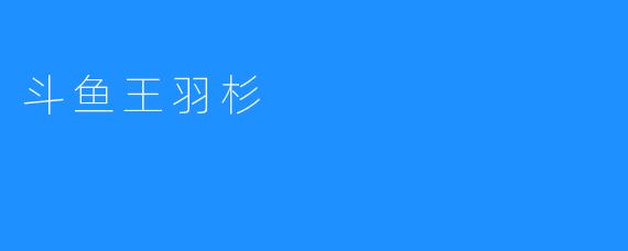 斗鱼王羽杉：虚拟与现实交织的直播新风尚